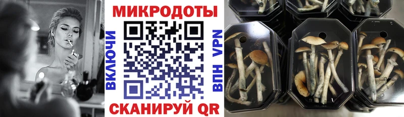 Псилоцибиновые грибы прущие грибы  Туринск 